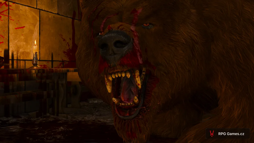 Berserk v medvědí podobě s krví na tlamě v sále Kaer Trolde — Zaklínač 3