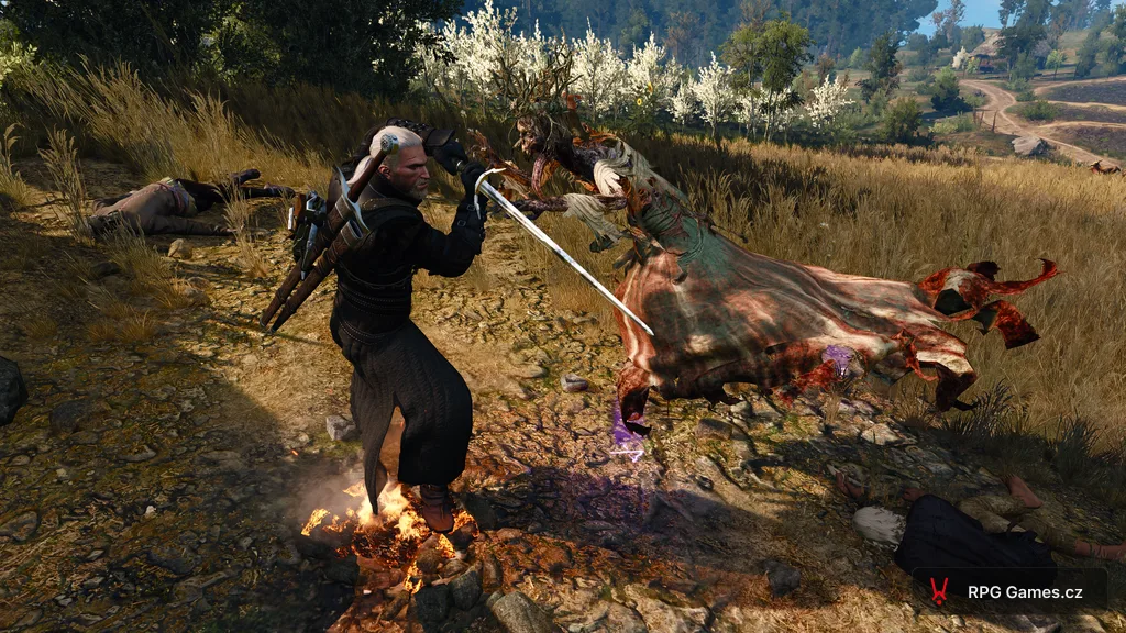 Geralt seče stříbrným mečem na Bílou paní v kruhu Yrden v poli, Zaklínač 3