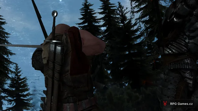 Geralt zády k nepříteli a válečník Divokého honu v temném lese, Zaklínač 3