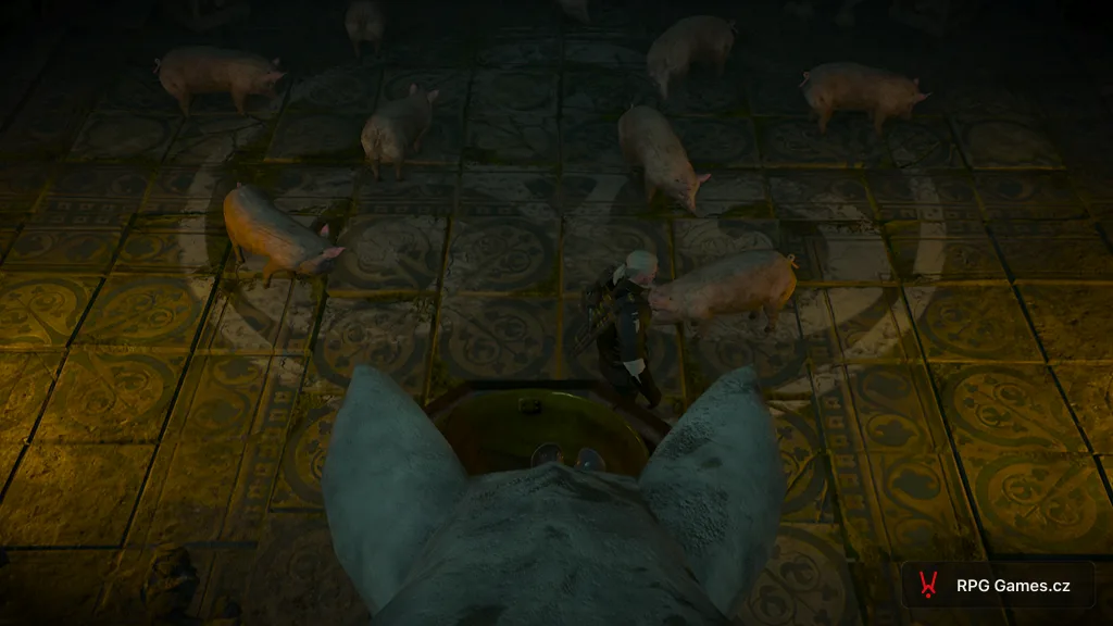 Geralt mezi prasaty u sochy v prasečím chrámu, Zaklínač 3
