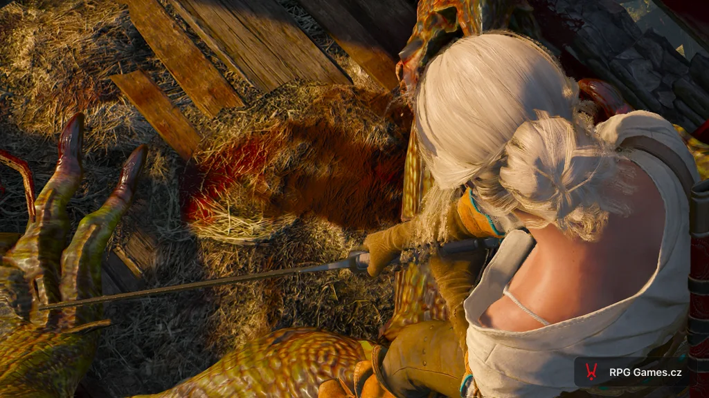 Ciri nad zabitým baziliškem na vrcholu věže, Zaklínač 3