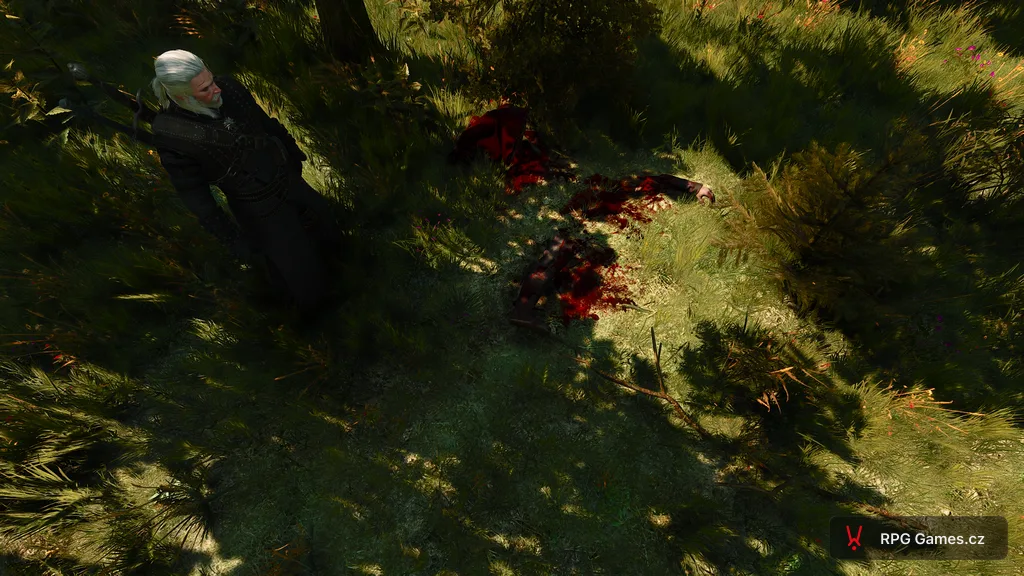 Geralt u roztrhaného těla Hanny v lese u questu Srdce divoké, Zaklínač 3