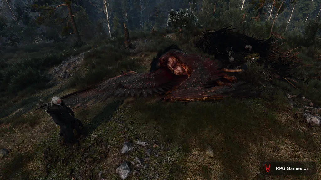Geralt u hnízda u mrtvé družky královského gryfa v Bělosadu, Zaklínač 3