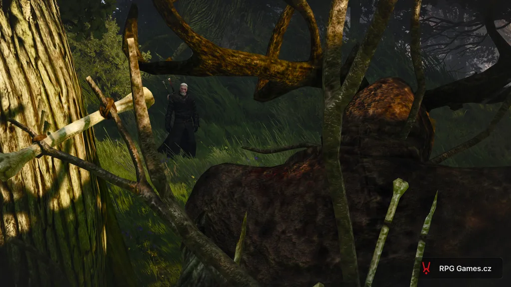 Kernun a Geralt v novigradské divočině u totemu, Zaklínač 3