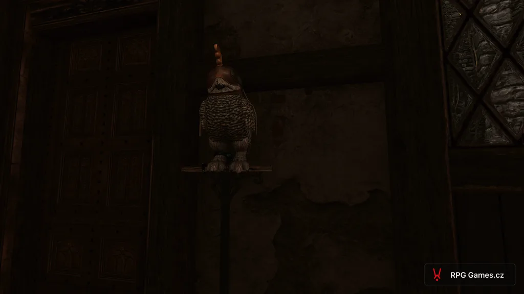 Filipa Eilhart ve formě sovy během questu Nejhledanější v celé Redanii — Zaklínač 3