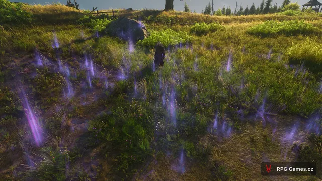 Geralt na louce s řadou fialových sloupů Yrden v Remasteru Zaklínače 3