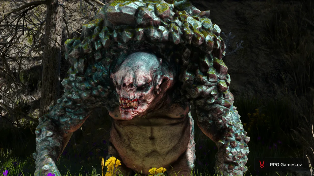 Skalní troll v bojovém postoji zepředu, kamenná zbroj na zádech — Zaklínač 3